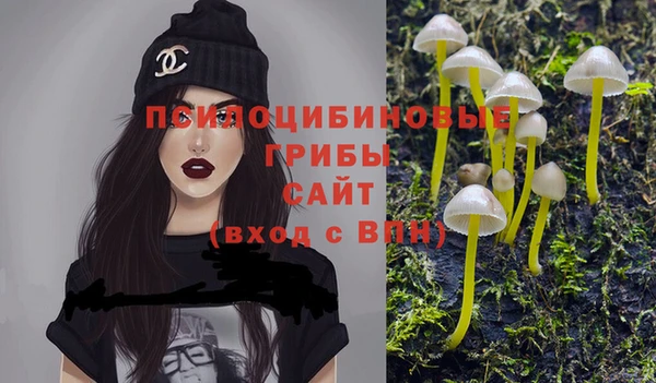спиды Заводоуковск