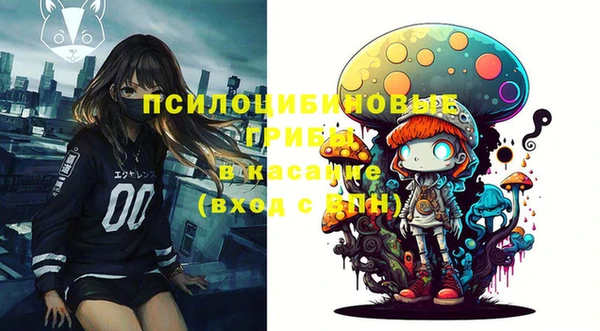 мескалин Елабуга