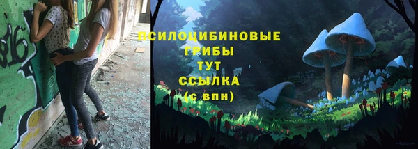 спиды Заводоуковск