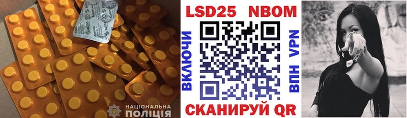 Купить закладки  Курильск  LSD-25 экстази ecstasy 
