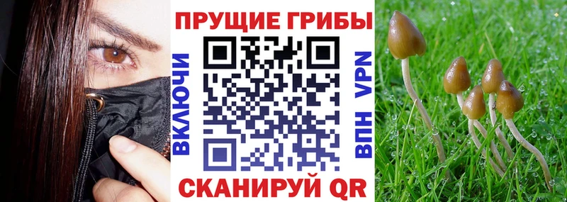 Купить  Курильск  Галлюциногенные грибы ЛСД 
